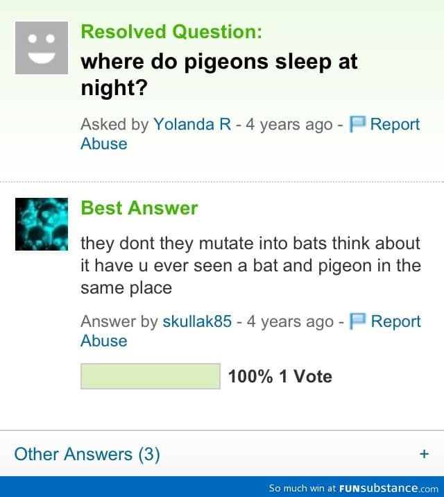 Pigeons don't sleep at night