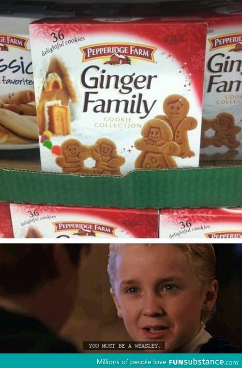Ginger family
