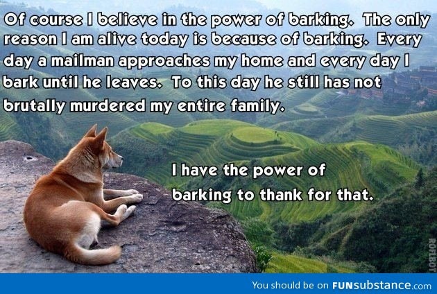 Power of barking