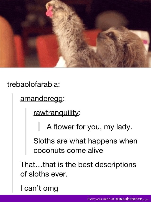 Definition of Sloths
