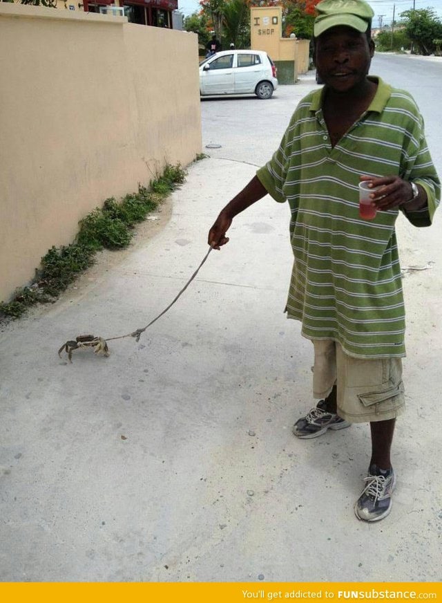 Just walking the crab