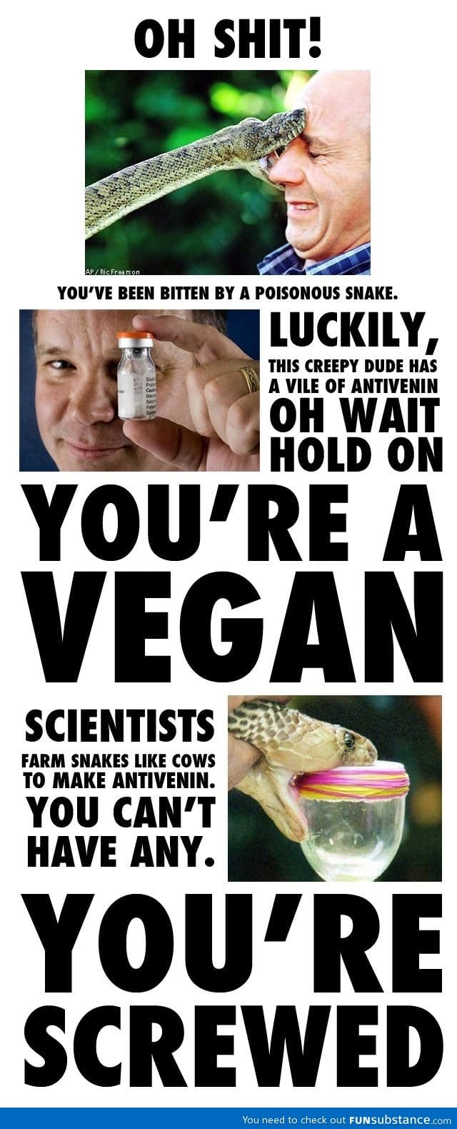 Vegans can't use anti-venom