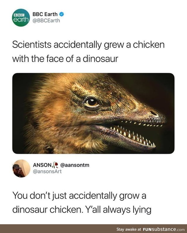 Technically The Chicken Did Evolve from the Dinosaur