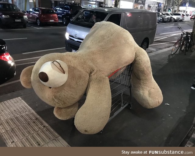 Go home Bear, you’re drunk