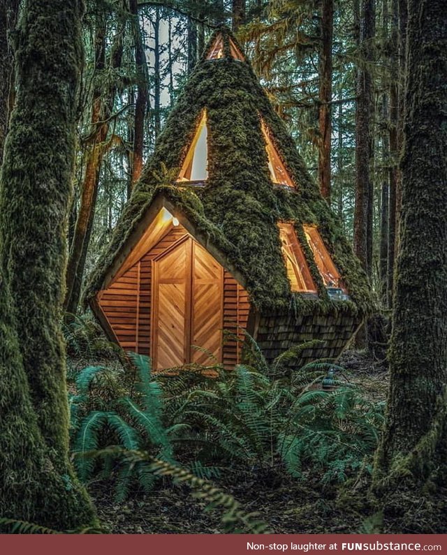 This cabin in the woods looks great