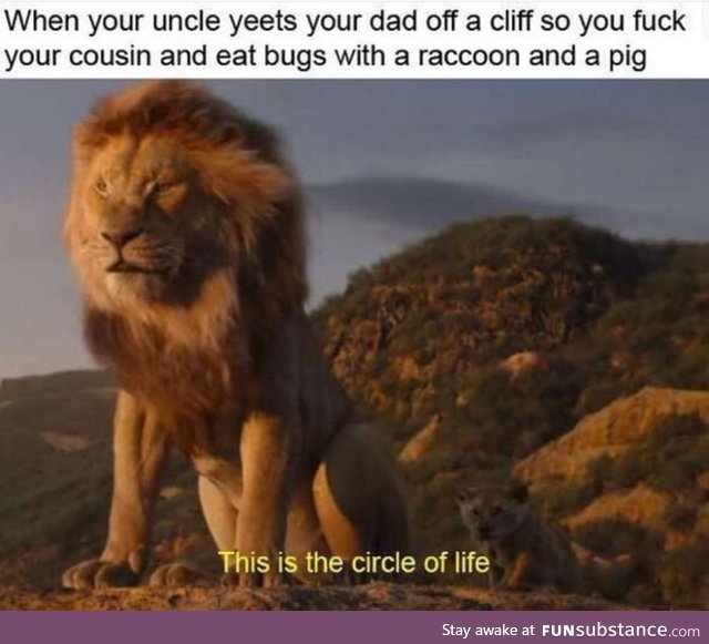 The lion king summerized