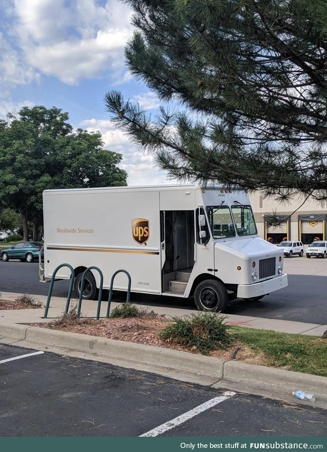 After years of searching, I've finally spotted the elusive Albino UPS Truck