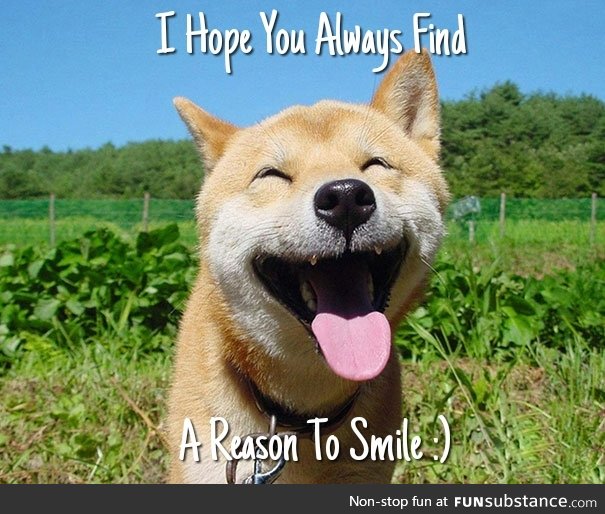 A Reason to Smile