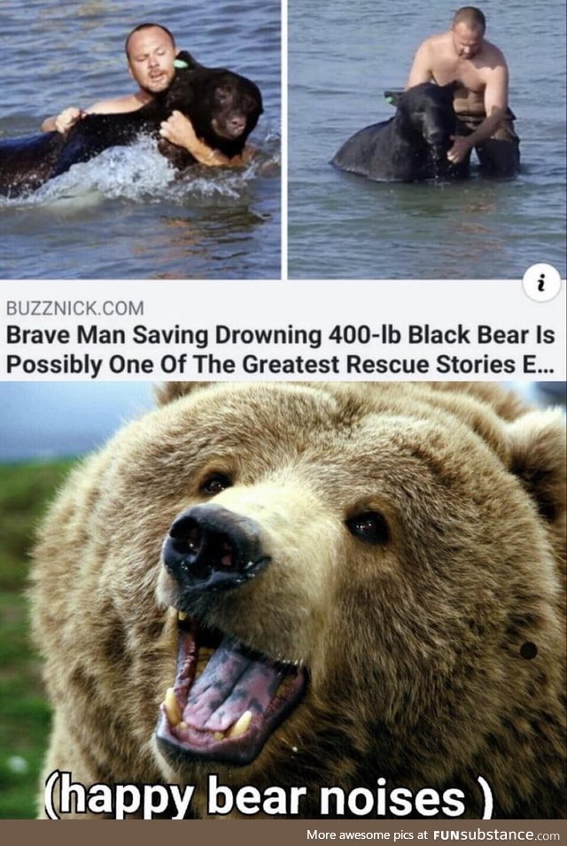 Bears are great