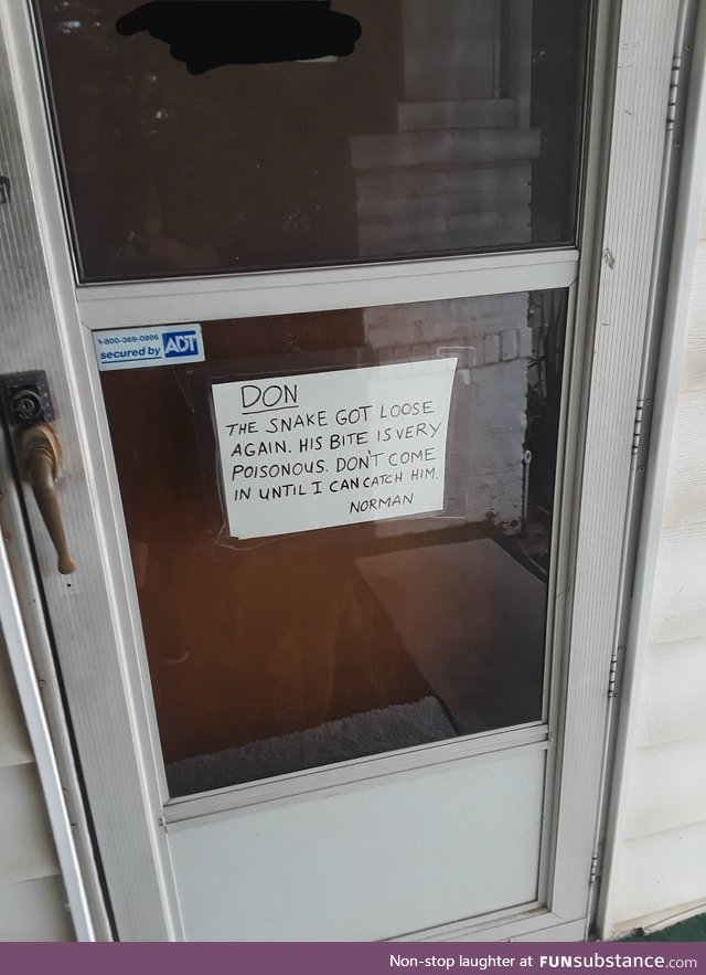 I deliver packages for Amazon, and came across this high tech security system