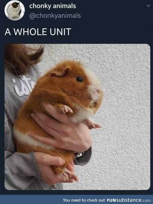 Chonk