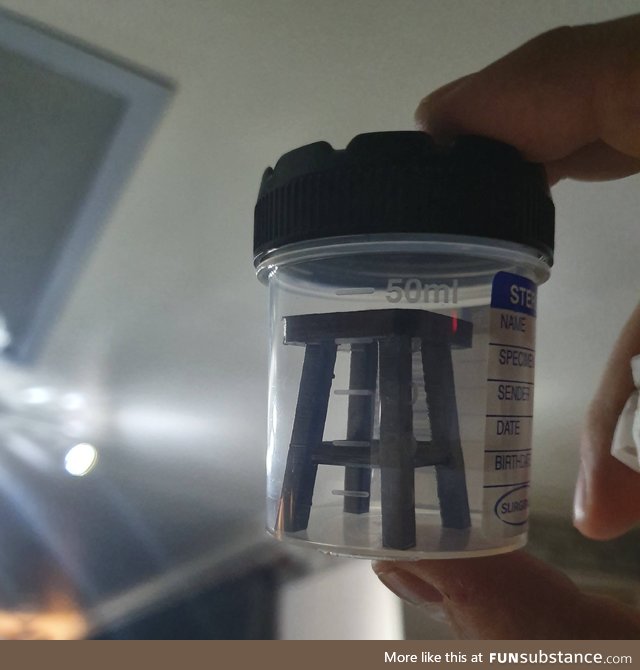 My dad recently got a 3d printer and made a stool sample for his doctor