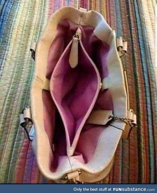 "Theft Proof" hand bag -- most men can't locate the zipper