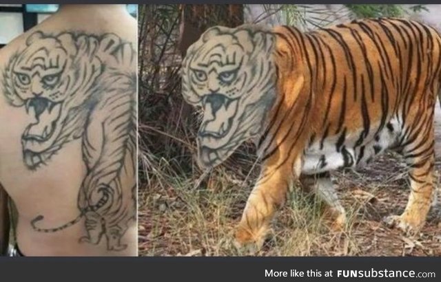 Now that's a scary tiger