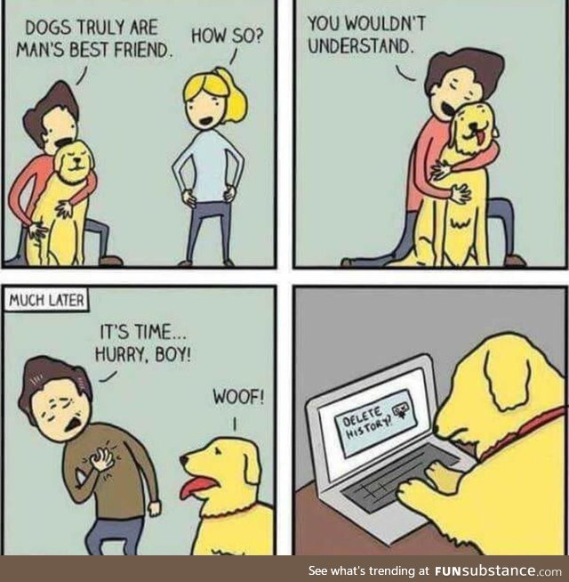 This hurts as a dog person. But it’s funny