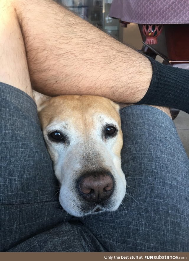 Whenever you put your leg up and leave a gap, good boi fills