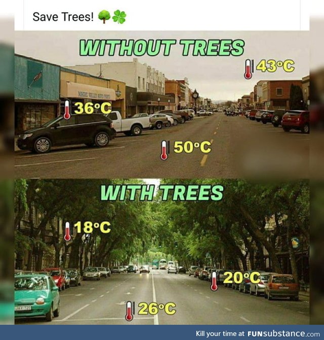 Save trees!
