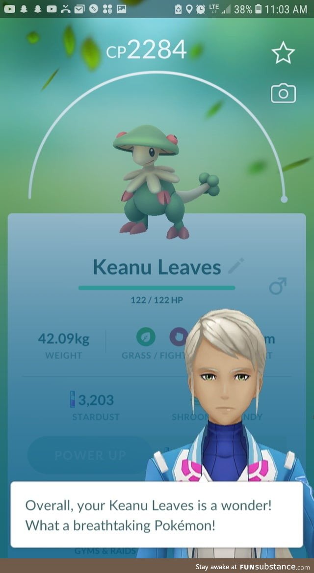 Keanu Leaves is a wonder!