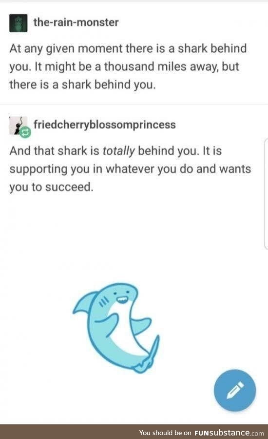Thank you, smol shark