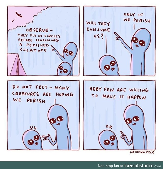 Observe