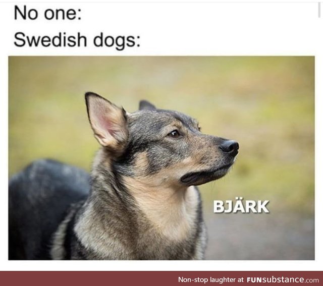 ( In a swedish accent ) Sven is that you ?