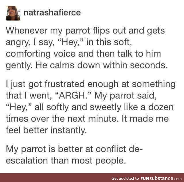 Wholesome parrot!!!