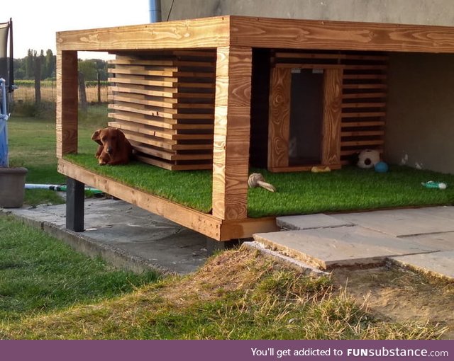 Dog villa I made