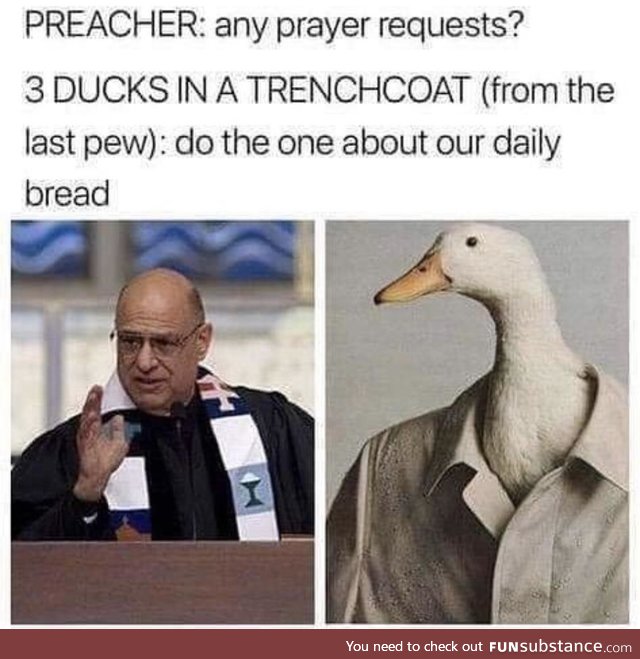 The ducks are sacrilegious, lately