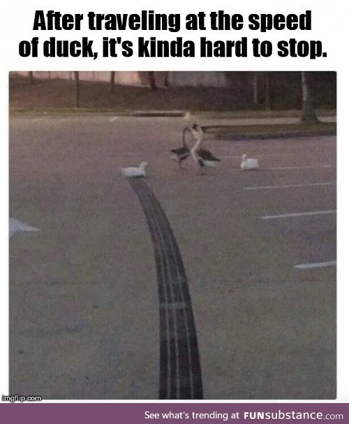 Duck speed, Mr. Sulu