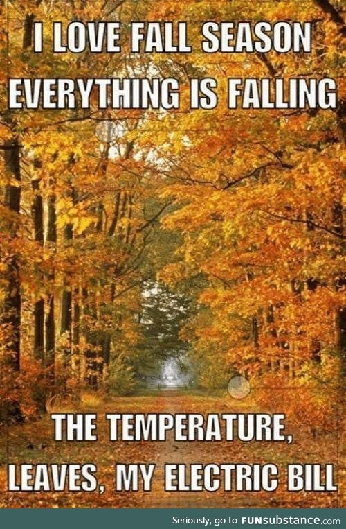 Fall is the season