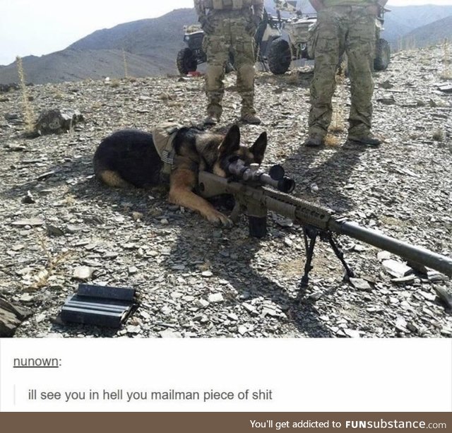 Army doggo