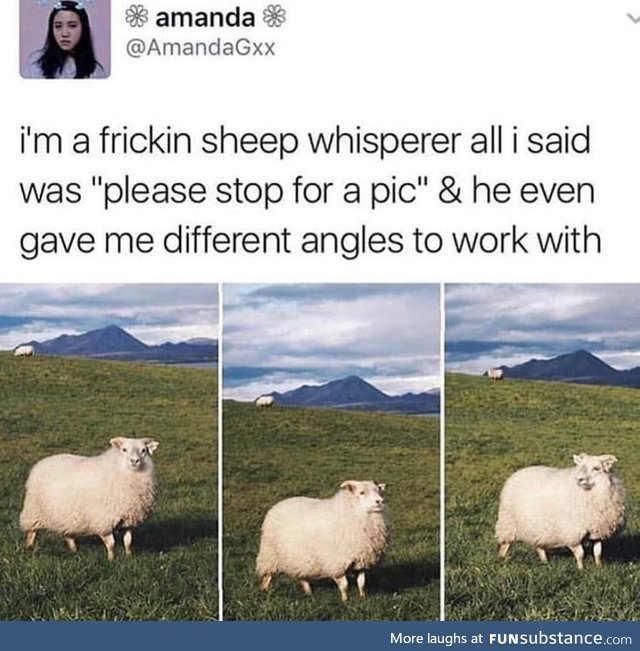 The sheep whisperer