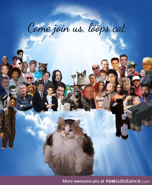 Join us, bröther