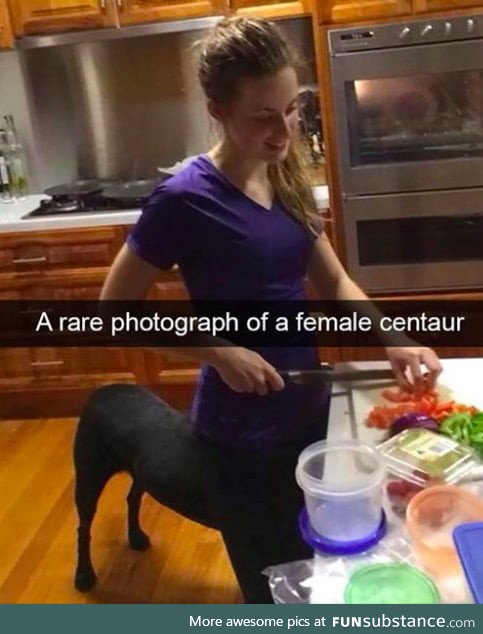 A rare photograph