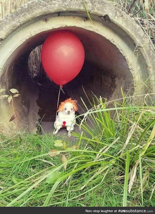 We all bark down here