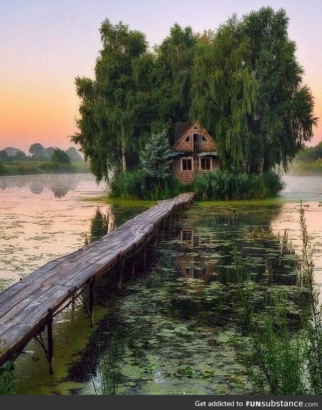 Abandoned swamp house in the morning