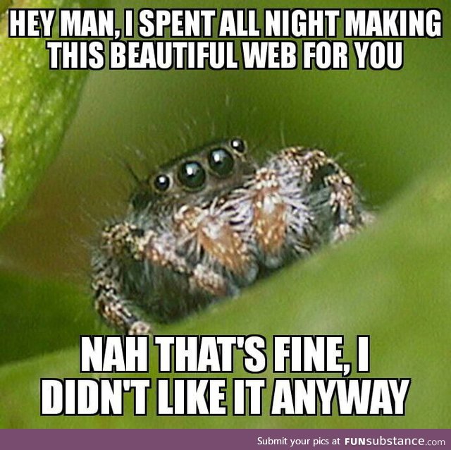 Be nice with spiders