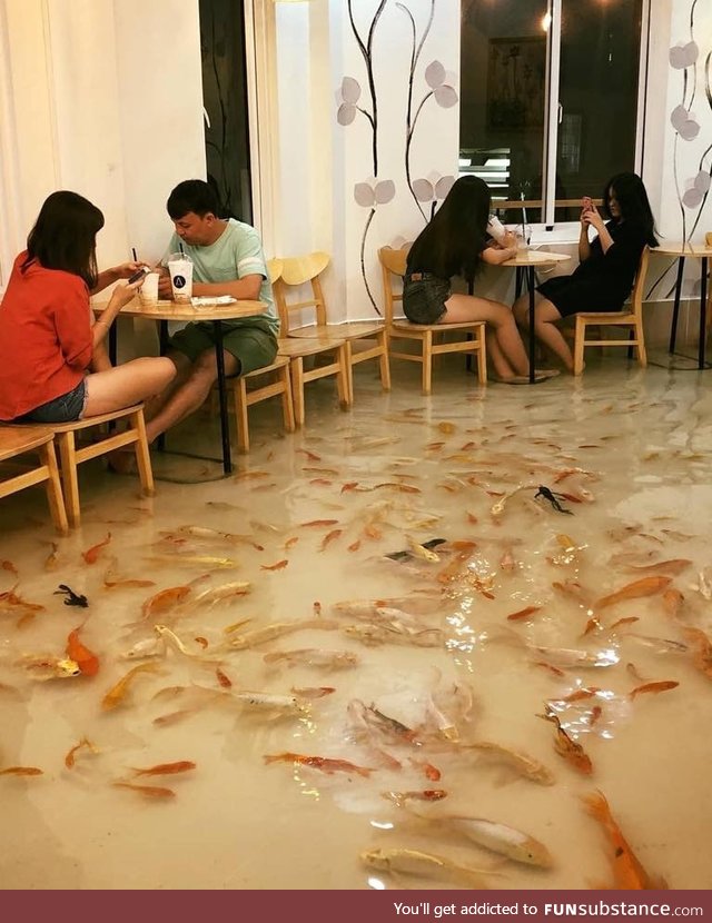 Fish Cafe in Vietnam