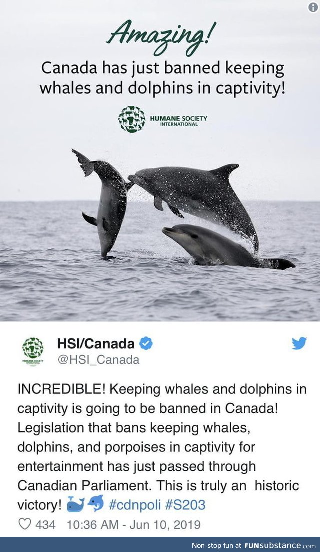 Canada just passed the "Free Willy" bill, making it illegal to keep dolphins