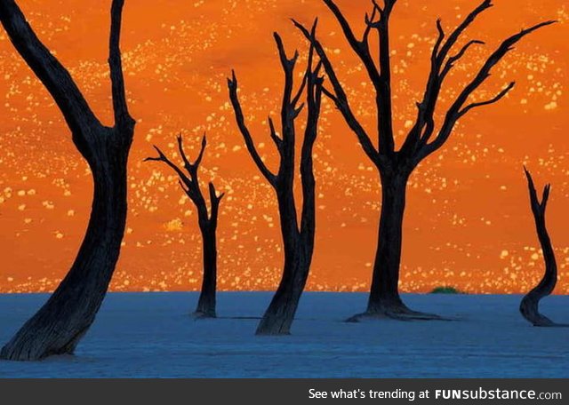 This isn't a painting, instead its a photo of trees in front of a sand dune at dawn