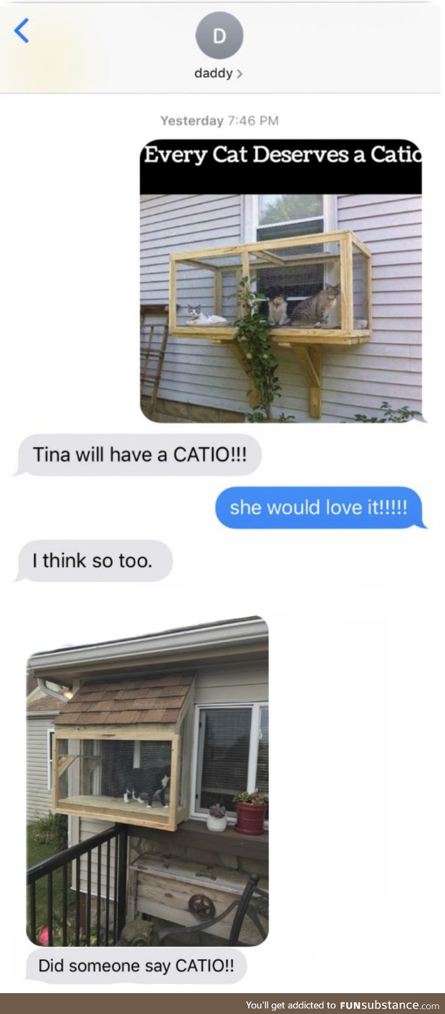 Some catios are nicer than others