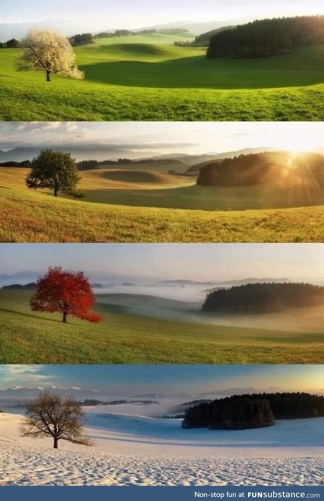 4 Seasons in one place