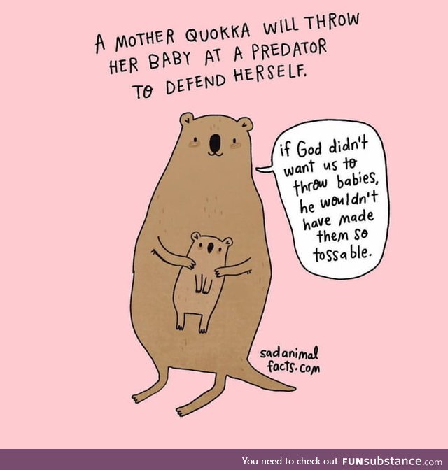 Unknown fact about Quokka