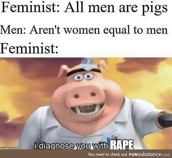 Feminists in a nutshell