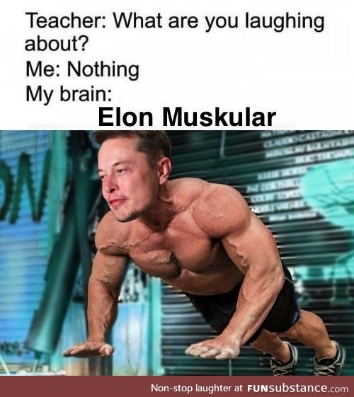 Elon Buff