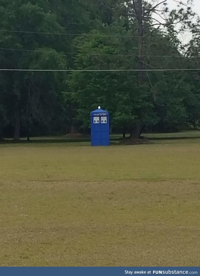So this just showed up in my backyard