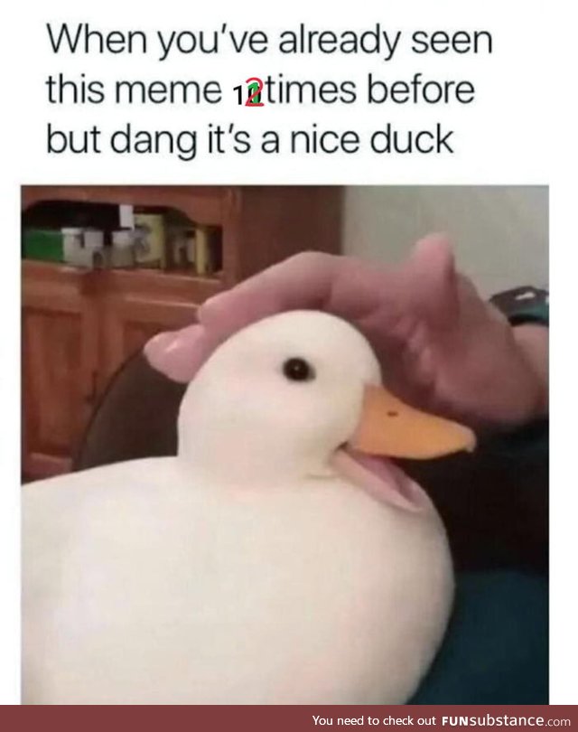 It's a dang nice duck