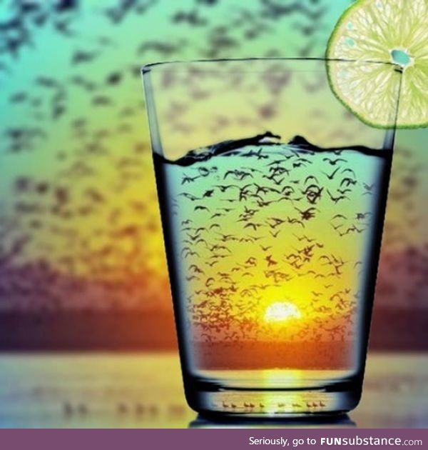 This glass with birds