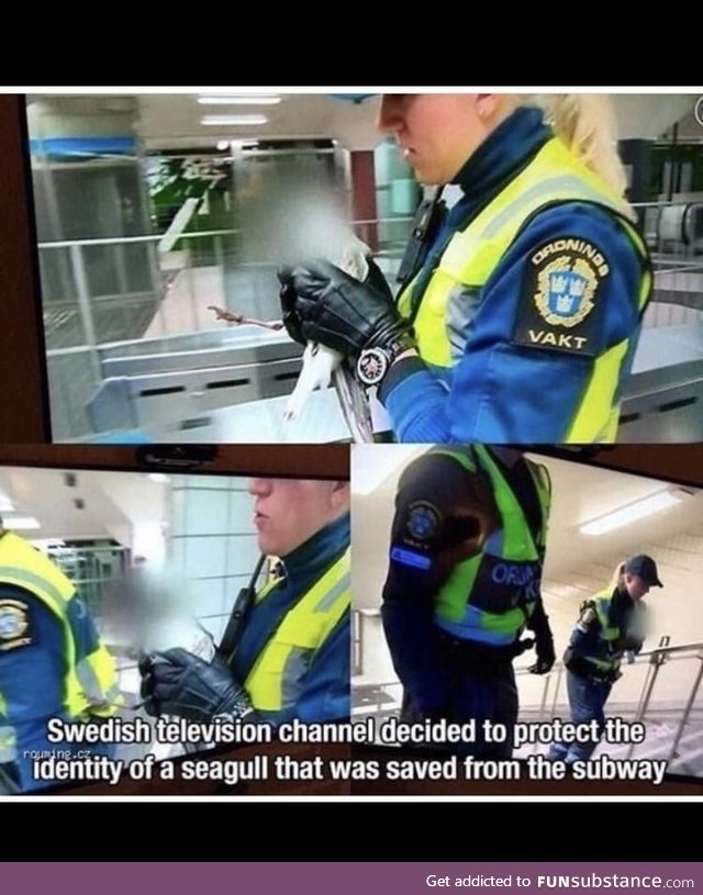Swedish police doing gods work