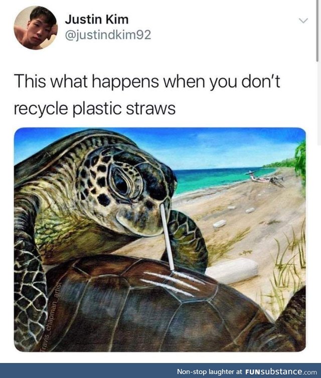 Please, won't anyone think of the turtles?